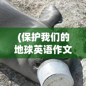 (保护我们的地球英语作文) 保护我们的地球：从减少塑料使用到支持清洁能源，为什么我们的每一个小步骤都至关重要？